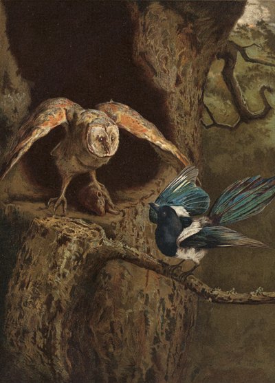 Wit and Wisdom by Arthur Charles Dodd